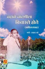 चंद्राने चांदणीला विचारले होते (कवितासंग्रह) चंद्राने चांदणीला विचारले होते (कवितासंग्रह)