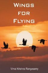 Wings for Flying Wings for Flying