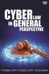 Cyber Law in General Perspective Cyber Law in General Perspective