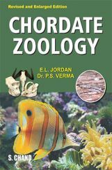Chordate Zoology Chordate Zoology
