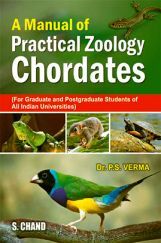 A Manual of Practical Zoology : Chordates A Manual of Practical Zoology : Chordates