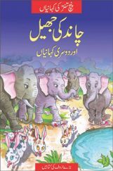 The Lake Of The Moon In (Urdu)