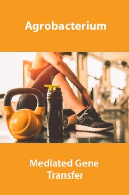 Agrobacterium
