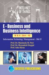 E-Business And Business Intelligence E-Business And Business Intelligence