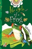 Circle of Life : Life Cycle of a Frog Circle of Life : Life Cycle of a Frog
