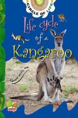Circle of Life : Life Cycle of a Kangaroo Circle of Life : Life Cycle of a Kangaroo