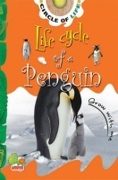 Circle of Life : Life Cycle of a Penguin Circle of Life : Life Cycle of a Penguin