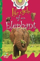 Circle of Life : Life Cycle of an Elephant Circle of Life : Life Cycle of an Elephant