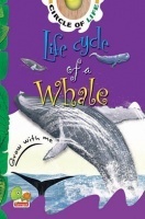 Circle of Life : Life Cycle of a Whale Circle of Life : Life Cycle of a Whale