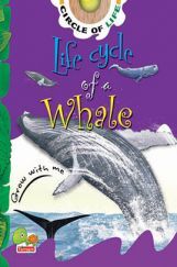 Circle of Life : Life Cycle of a Whale Circle of Life : Life Cycle of a Whale