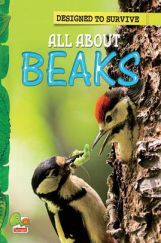 Designed to Survive : All About Beaks Designed to Survive : All About Beaks