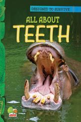 Designed to Survive : All About Teeth Designed to Survive : All About Teeth