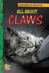 Designed to Survive : All About Claws Designed to Survive : All About Claws