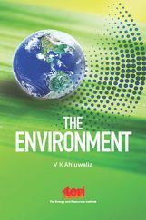 The Environment The Environment