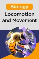 Biology - Locomotion and Movement Biology - Locomotion and Movement