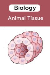 Biology-Animal Tissue Biology-Animal Tissue