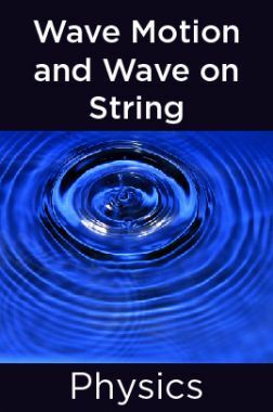 Physics-Wave Motion and Wave on String