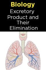Biology-Excretory Products and Their Elimination Biology-Excretory Products and Their Elimination