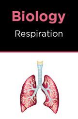 Biology-Respiration Biology-Respiration