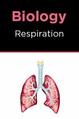 Biology-Respiration