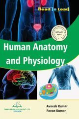 Human Anatomy And Physiology Human Anatomy And Physiology