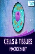 Cells & Tissues - Practice Sheet For Class-IX Science Cells & Tissues - Practice Sheet For Class-IX Science