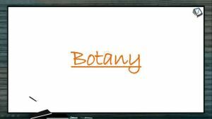 Anatomy of Flowering Plants - Internal Structure Of Dicot Root (Session 8)