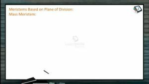 Anatomy of Flowering Plants - Meristems Based On Plane Of Division And On Function (Session 1)