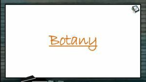 Anatomy of Flowering Plants - Permanent Tissues (Session 2)