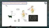 Animal Kingdom - Life Cycle Of Taenia Solium (Session 7) Animal Kingdom - Life Cycle Of Taenia Solium (Session 7)