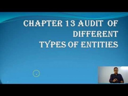 Audit And Assurance - Audit Of Different Types Of Entities Chapter-XIII Part I Video by Revantasuntech