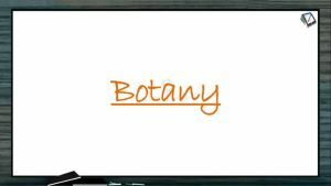 Biological Classification - General Characteristics Of Kingdom Protista (Session 5)