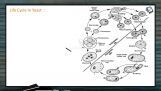 Biological Classification - Life Cycle In Yeast (Session 9)