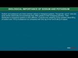 Class 11 Chemistry - Biological Importance Of Sodium And Potassium Video by MBD Publishers Class 11 Chemistry - Biological Importance Of Sodium And Potassium Video by MBD Publishers