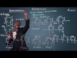 Biomolecules & Polymers - Disaccharides And Polysaccharide Video By Plancess