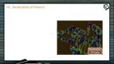 Biomolecules - Denaturation Of Proteins (Session 4 & 5) Biomolecules - Denaturation Of Proteins (Session 4 & 5)