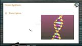Biomolecules - Protein Synthesis (Session 6) Biomolecules - Protein Synthesis (Session 6)
