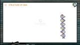 Biomolecules - Structure Of DNA (Session 6) Biomolecules - Structure Of DNA (Session 6)