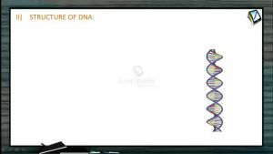 Biomolecules - Structure Of DNA (Session 6)