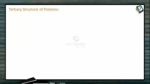 Biomolecules - Tertiary Structure Of Proteins (Session 4 & 5)