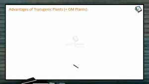 Biotechnology - Advantages And Disadvantages Of Transgenic Plants (Session 3)