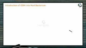 Biotechnology - Introduction Of rDNA Into Host Bacterium (Session 2)