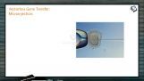 Biotechnology - Vectorless Gene Transfer (Session 2) Biotechnology - Vectorless Gene Transfer (Session 2)