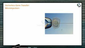 Biotechnology - Vectorless Gene Transfer (Session 2)