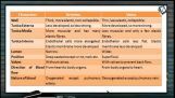 Body Fluids And Circulation - Blood Vessels II (Session 1) Body Fluids And Circulation - Blood Vessels II (Session 1)