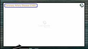 Body Fluids And Circulation - Coronary Artery Disease (Session 11)