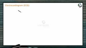 Body Fluids And Circulation - Electrocardiogram (Session 10)