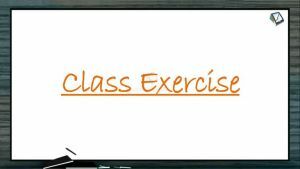 Breathing And Exchange of Gases - Class Exercise (Session 1)