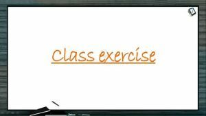 Breathing And Exchange of Gases - Class Exercise (Session 3)