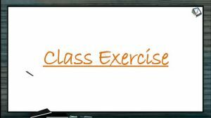 Cell Cycle And Cell Division - Class Exercise (Session 1)